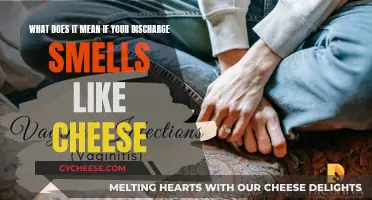 Vaginal Discharge: Why Does It Smell Like Cheese?