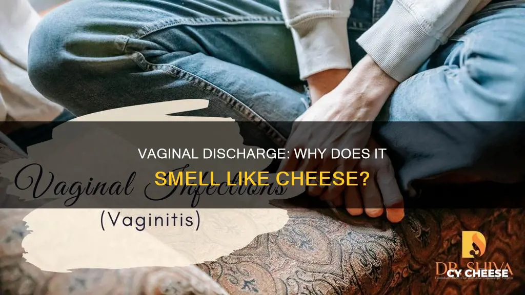 what does it mean if your discharge smells like cheese
