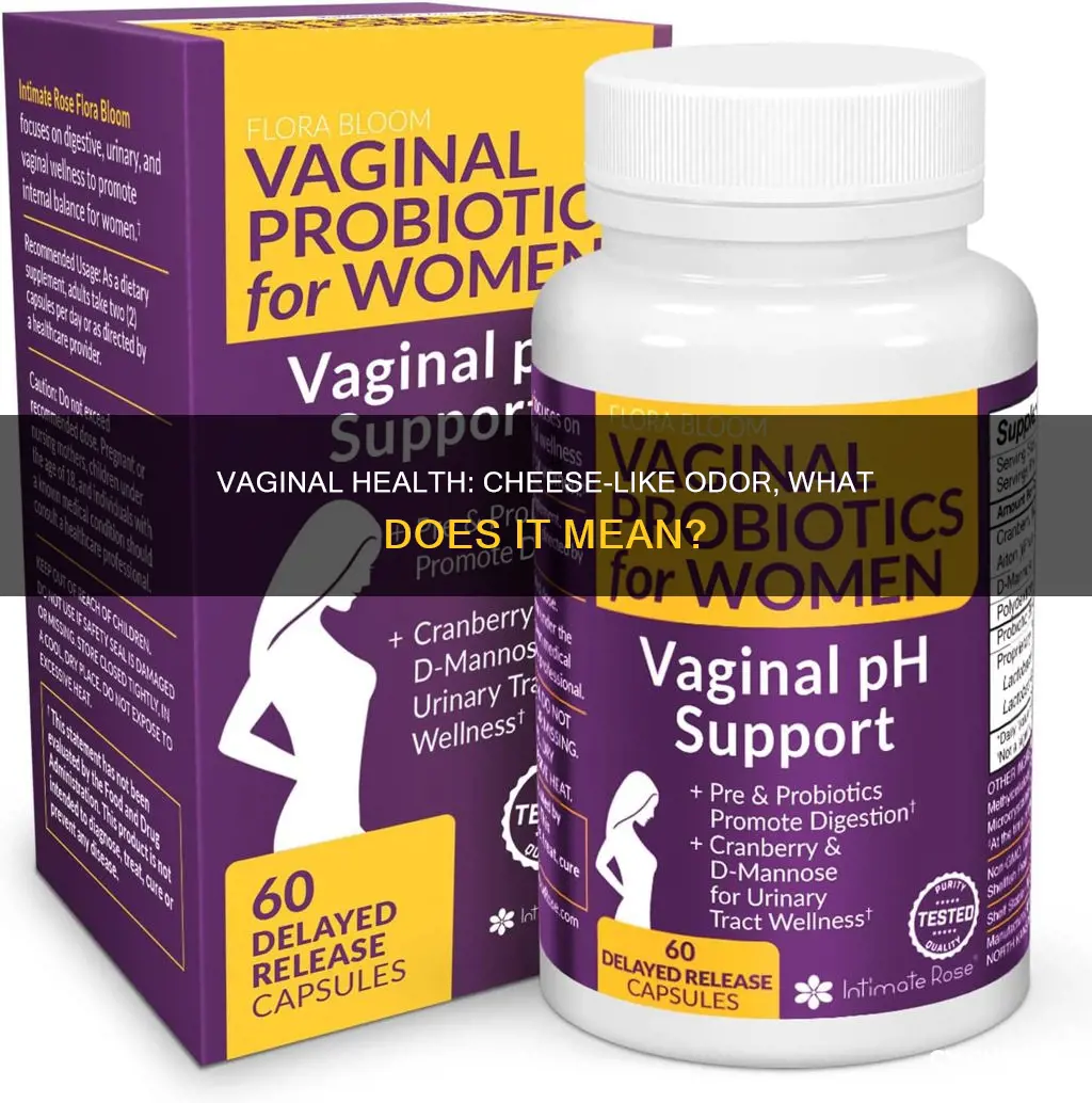 what does it mean if your vag smells like cheese