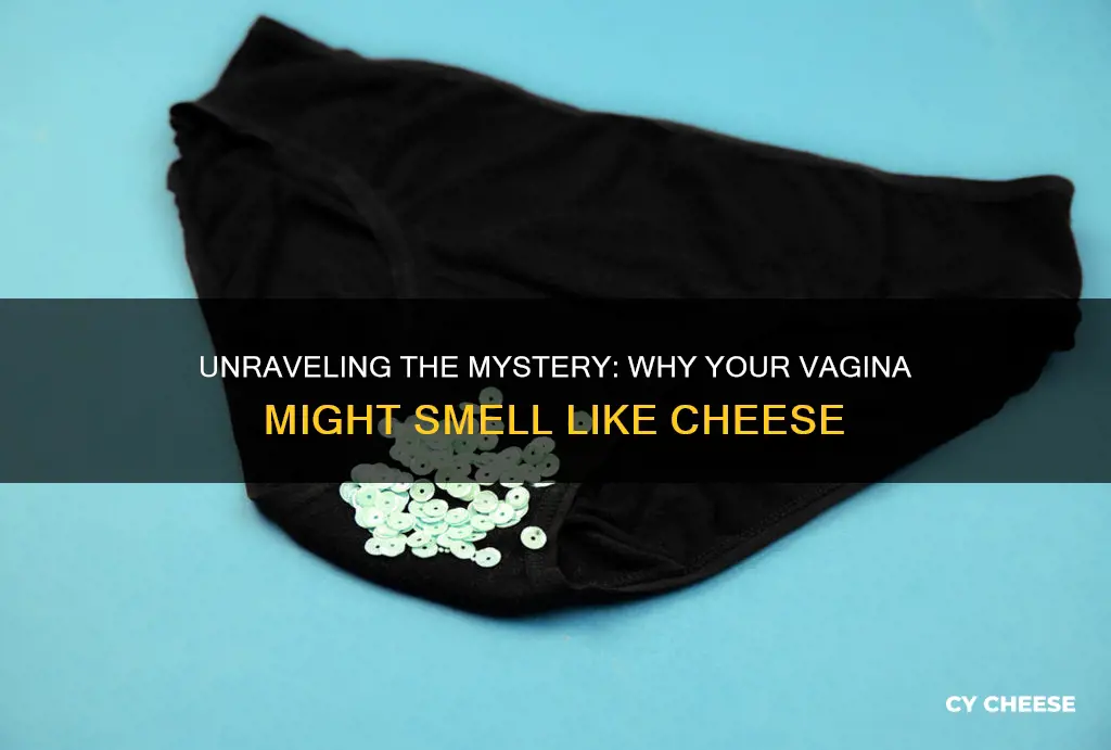 what does it mean if your vagina smells like cheese