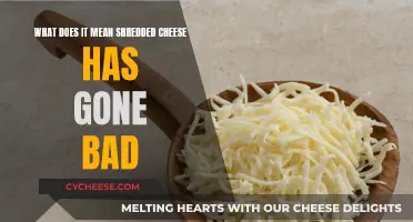 How to Tell if Your Shredded Cheese is Bad?