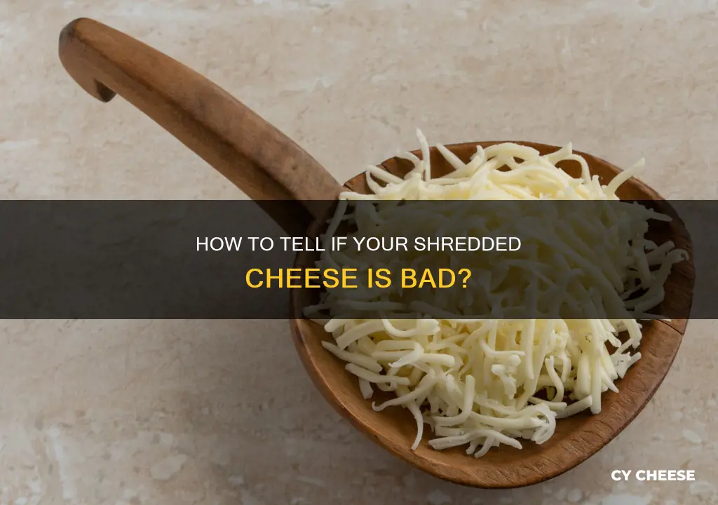what does it mean shredded cheese has gone bad