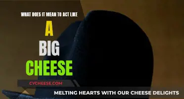 Unveiling the Secrets of Being a Big Cheese