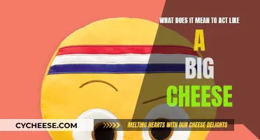 Understanding the Big Cheese: Power Dynamics Explained