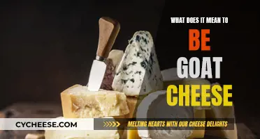 The Ultimate Guide to Being a Goat Cheese Master