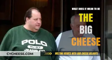 What Does It Mean to Be the Big Cheese? Unpacking Leadership and Influence