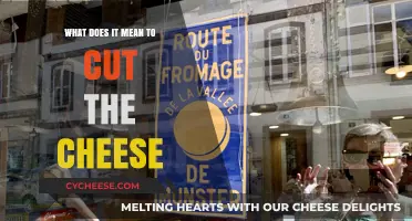 Cutting the Cheese: Understanding the Meaning Behind the Embarrassing Act