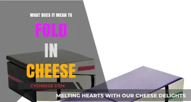 Mastering the Art of Folding in Cheese: Techniques and Tips