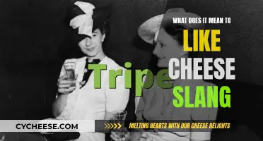 Cheese Slang: Unraveling the Meaning of "Like" in Modern Vernacular