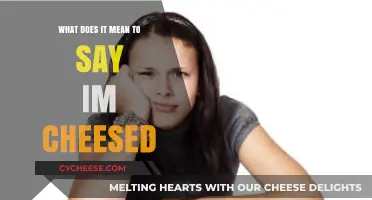 I'm Cheesed": Decoding the British Slang for Annoyance and Frustratio