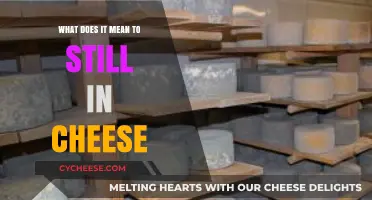 Understanding the Art of Aging Cheese: What 'Still' Really Means