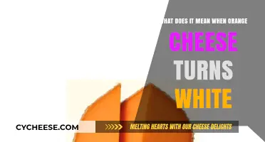 Why Orange Cheese Turns White: Causes and Implications Explained