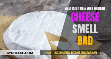 Why Does Shredded Cheese Smell Bad?