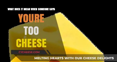 You're Too Cheese": Decoding the Meaning Behind This Quirky Complimen