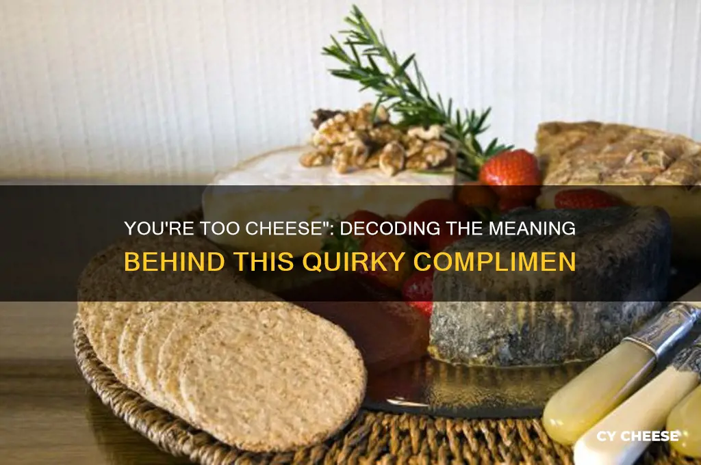 what does it mean when someone says youre too cheese