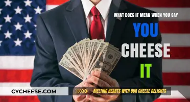 What Does 'Cheese It' Mean? Unraveling the Slang Mystery