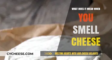Why Do I Smell Cheese? Unraveling the Mystery Behind This Odd Scent
