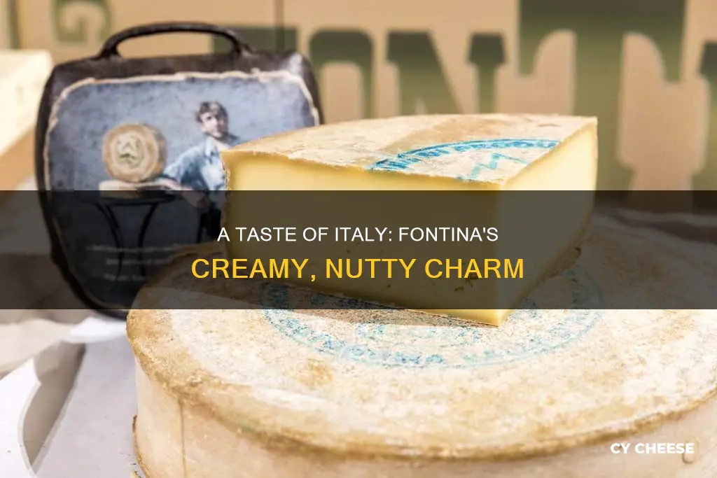 what does italian fontina cheese taste like