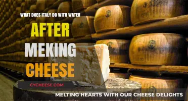 Italy's Cheese Wastewater: Sustainable Solutions for Byproducts in Dairy Production