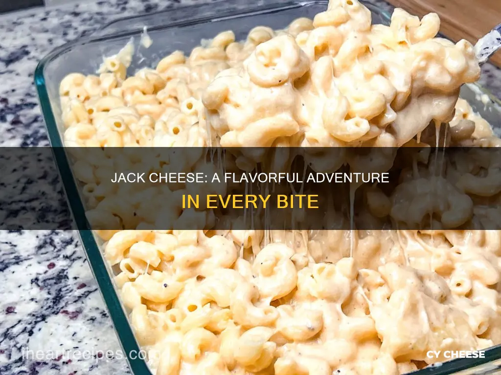 what does jack cheese taste like