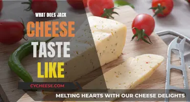 Jack Cheese: A Mild, Buttery Taste Experience