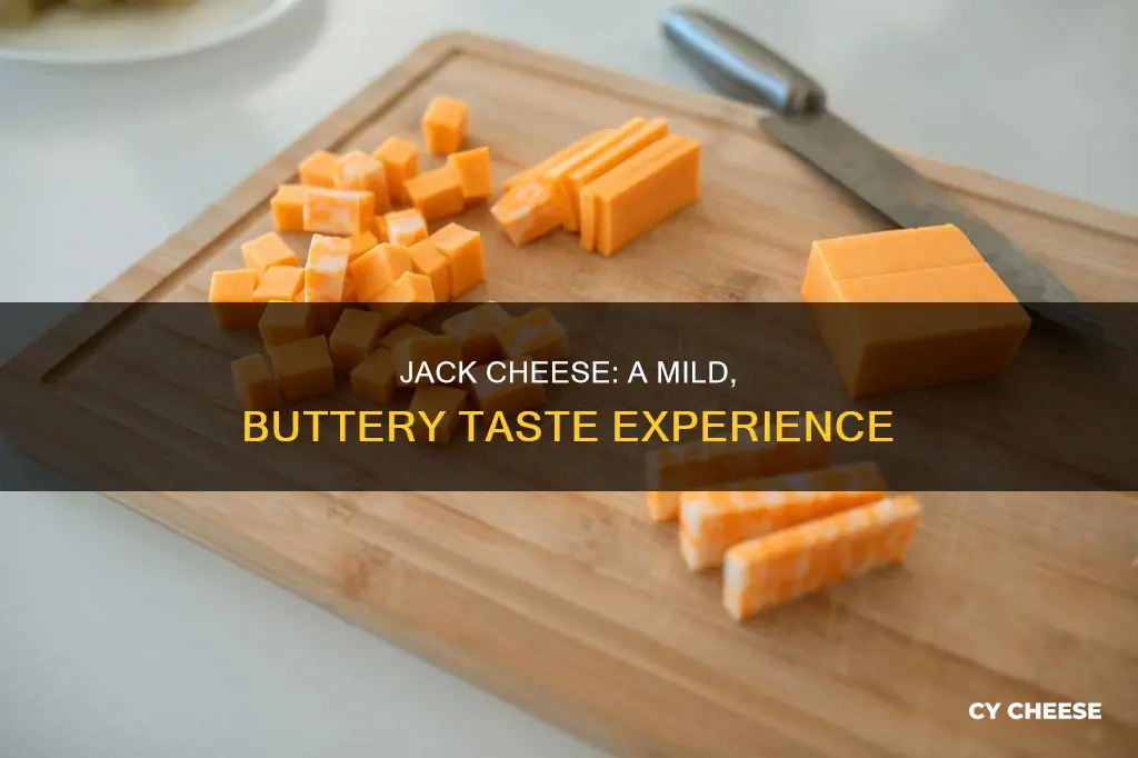 what does jack cheese taste like