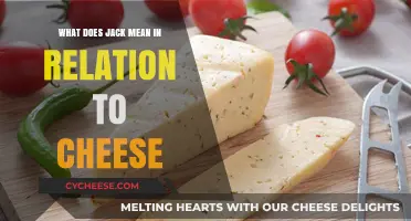 What Does Jack Mean in Cheese: Unraveling the Mystery Behind the Name