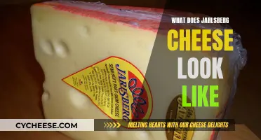 Jarlsberg Cheese: A Distinctive Swiss-like Appearance Explained