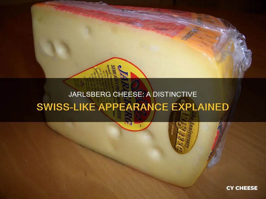 what does jarlsberg cheese look like