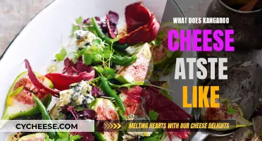 Kangaroo Cheese: A Unique Australian Flavor Experience