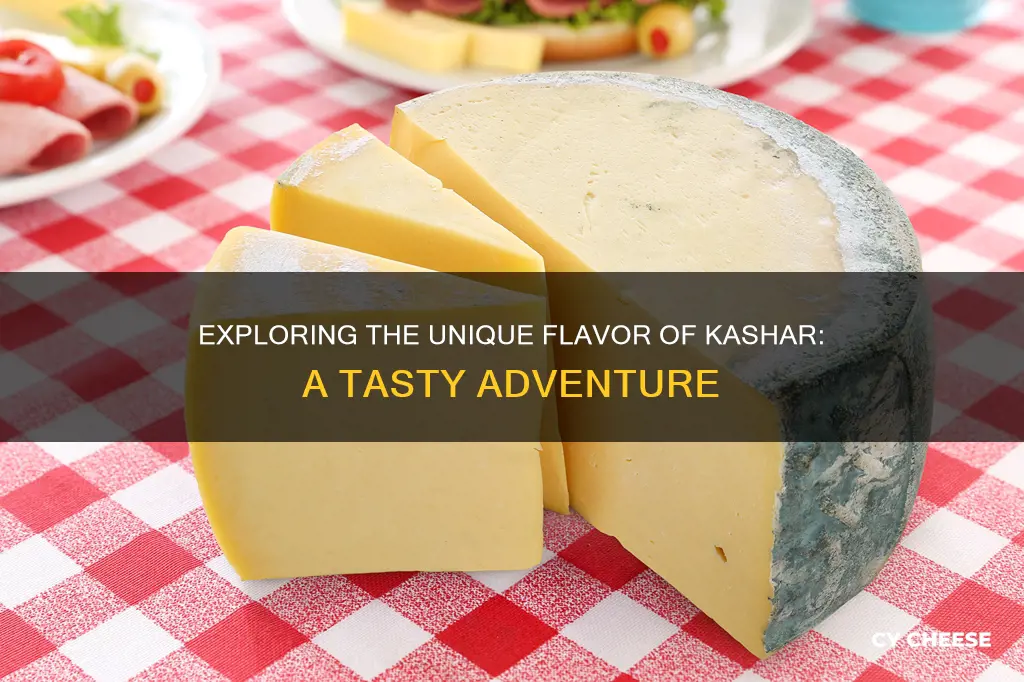 what does kashar cheese taste like