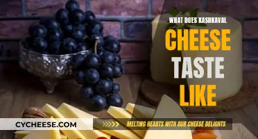 Kashkaval Cheese: A Taste of Bulgaria's Sharp, Salty Delight