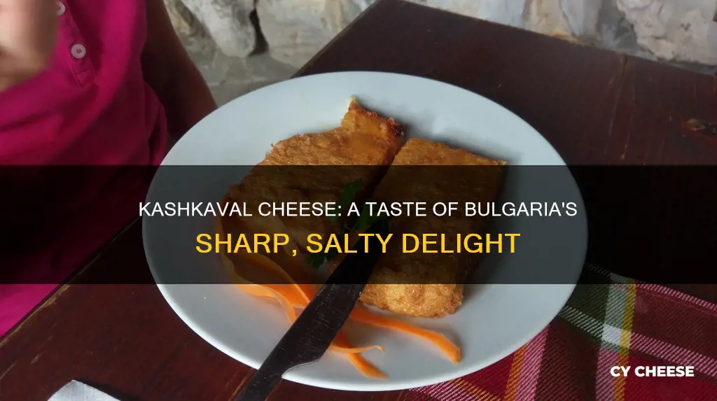 what does kashkaval cheese taste like