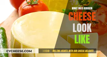 The Appearance of Kasseri Cheese: A Visual Guide