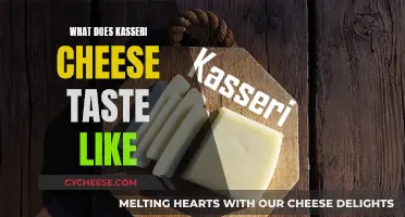 Kasseri Cheese: A Taste of Greece's Golden Delicacy