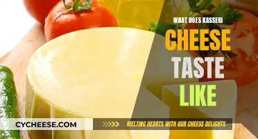 The Unique Flavor of Kasseri Cheese Explained