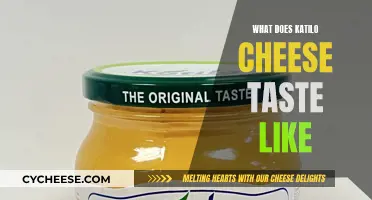 Katilo Cheese: A Unique Flavor Profile Unveiled