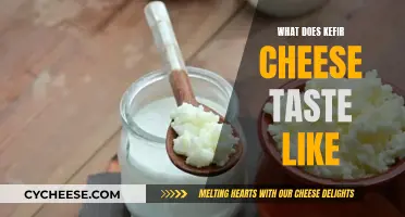 The Unique Taste of Kefir Cheese Explained