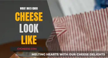 Knob Cheese: What Does It Look Like?
