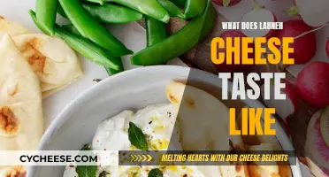 The Taste of Labneh Cheese: A Creamy, Tangy Delight