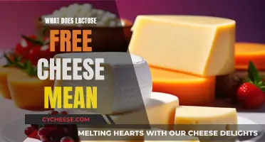 Lactose-Free Cheese: What Does It Mean?
