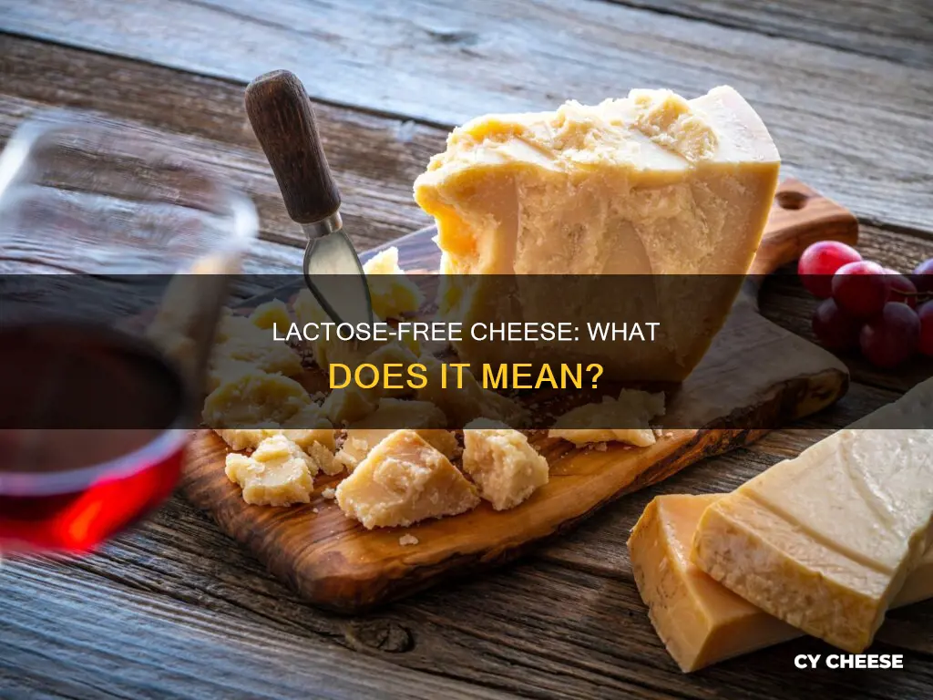 what does lactose free cheese mean