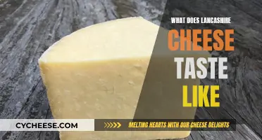 A Cheesy Adventure: Unveiling Lancashire's Unique Flavor Profile