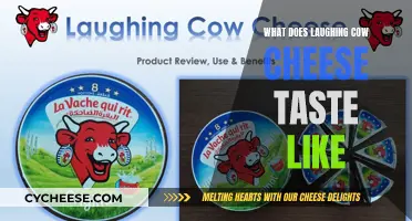 The Laughing Cow Cheese: A Taste Adventure