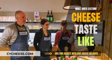 The Taste of Lecture Cheese: A Unique Experience