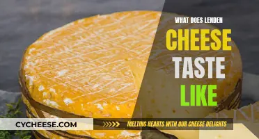 Lenden Cheese: A Unique Taste Experience