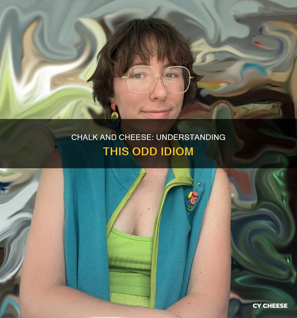 what does like chalk and cheese mean