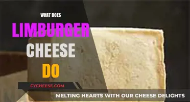Unveiling Limburger Cheese: Its Unique Flavor, Uses, and Health Benefits