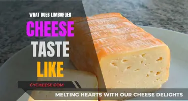 The Distinctive Taste of Limburger Cheese: A Pungent Experience