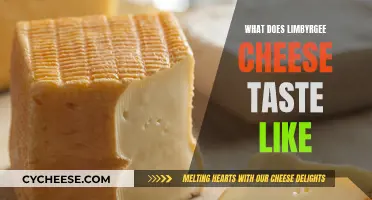 A Tasty Adventure: Exploring the Unique Flavor of Limbyrgee Cheese